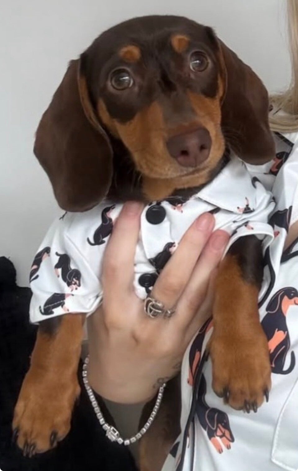 Doggy Pyjama Top