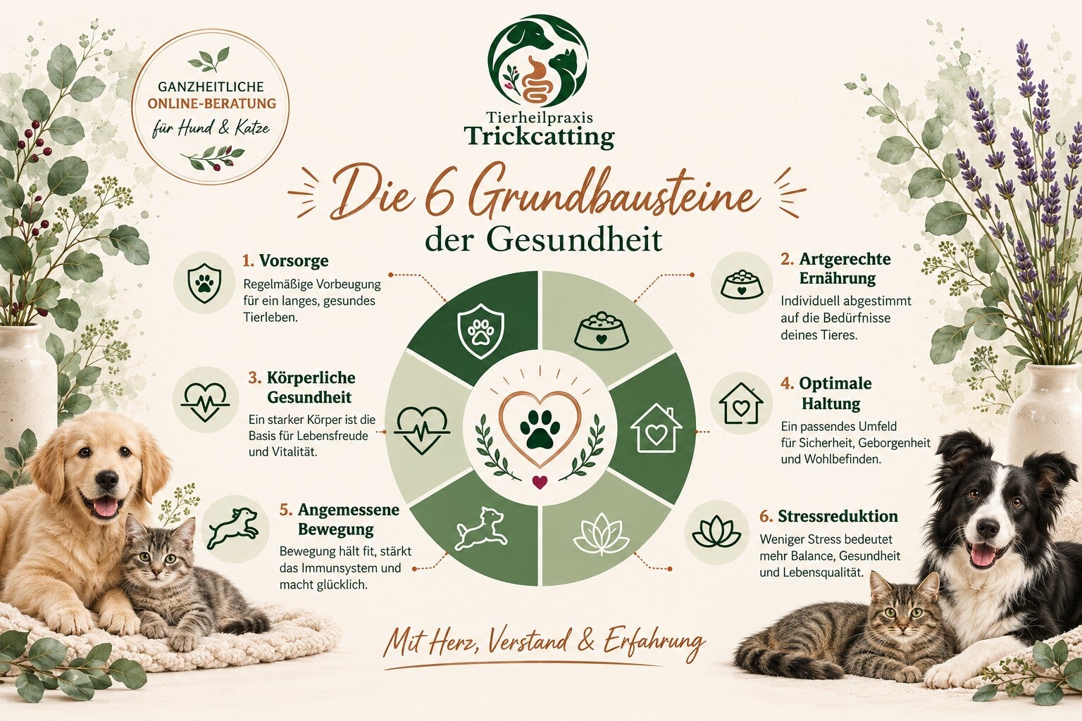 Die sechs Grundbausteine der Gesundheit für Hund und Katze: Vorsorge, artgerechte Ernährung, körperliche Gesundheit, optimale Haltung, angemessene Bewegung und Stressreduktion. Übersicht der Tierheilpraxis Trickcatting.