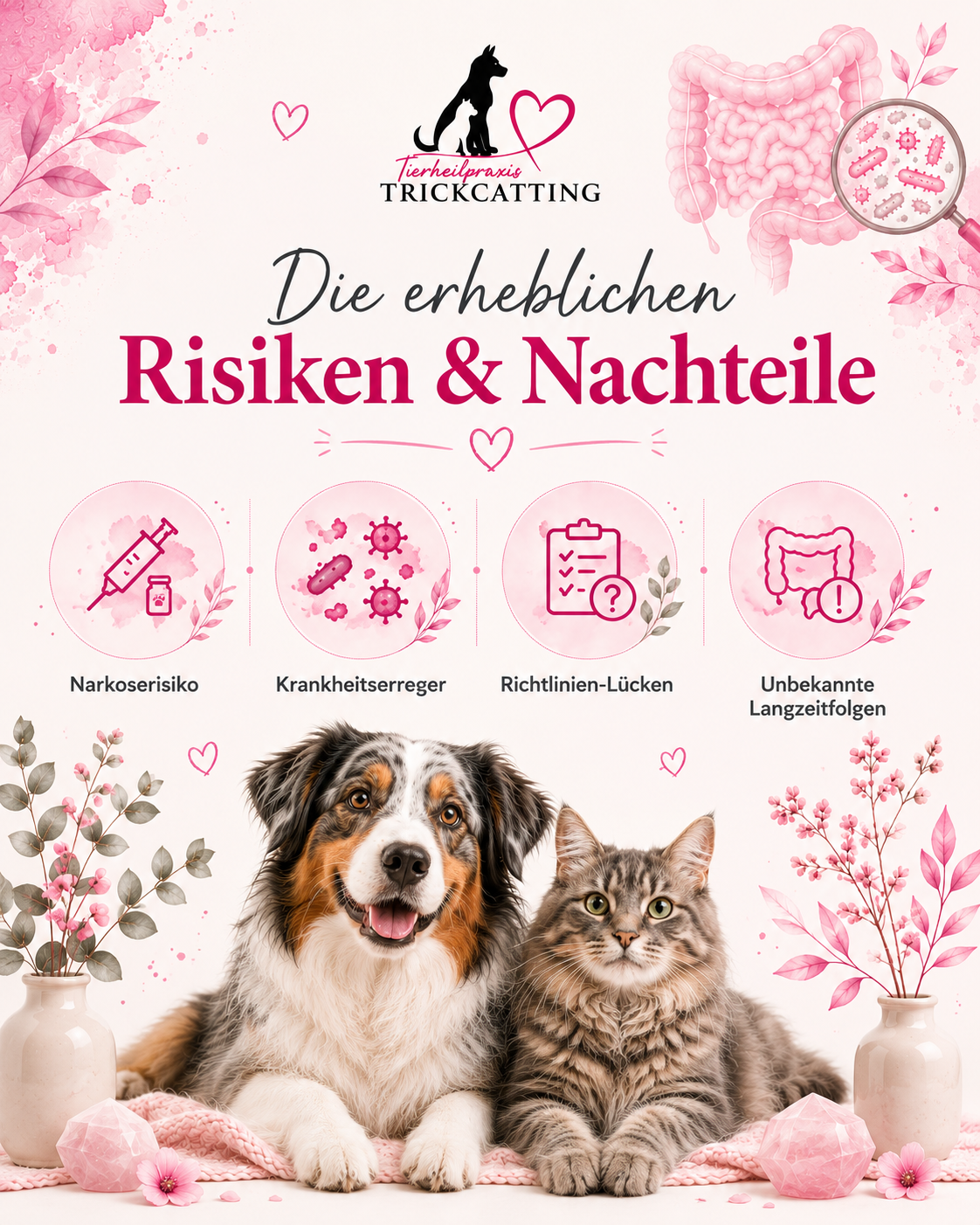 Risiken und Nachteile der Kottransplation