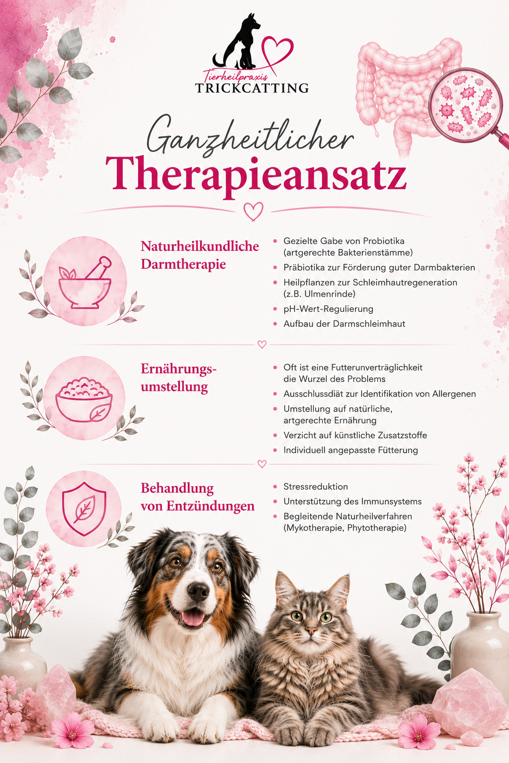 ganzheitlicher Therapieansatz Hund Katze Darm