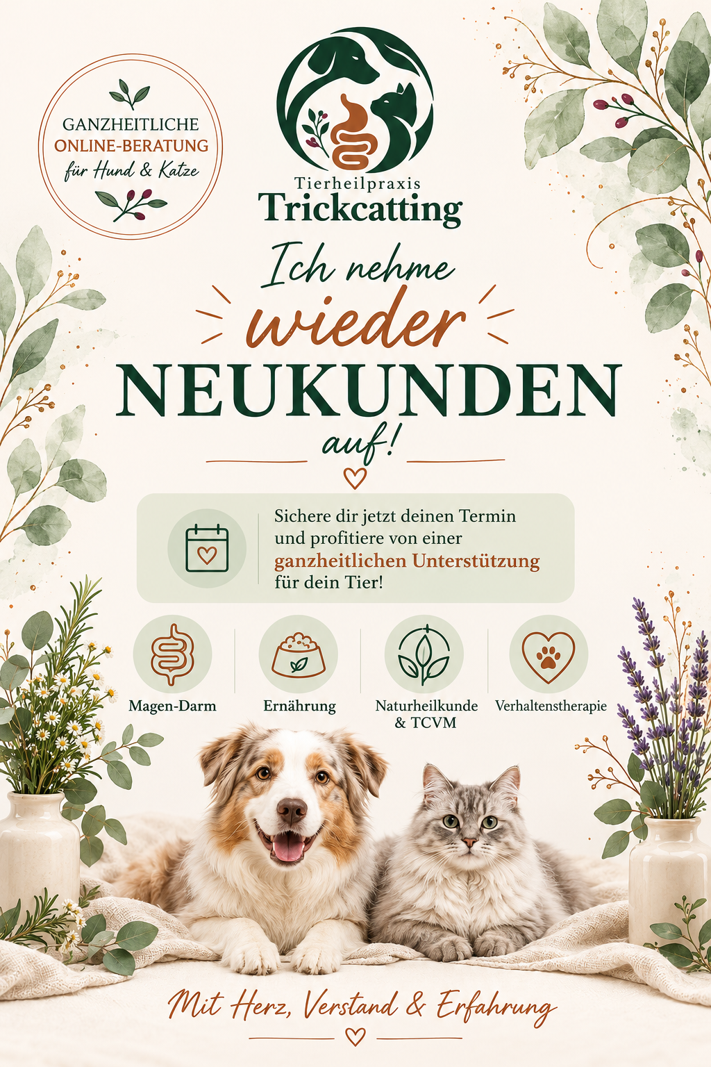 Tierheilpraxis Trickcatting nimmt wieder Neukunden auf, ganzheitliche Online-Beratung für Hund und Katze zu Magen-Darm, Ernährung, Naturheilkunde, TCVM und Verhaltenstherapie