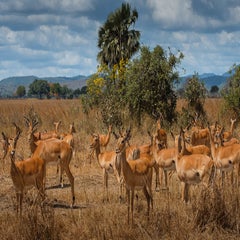 zanzibar2-29.jpg