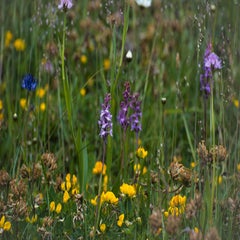 dscf2277.jpg