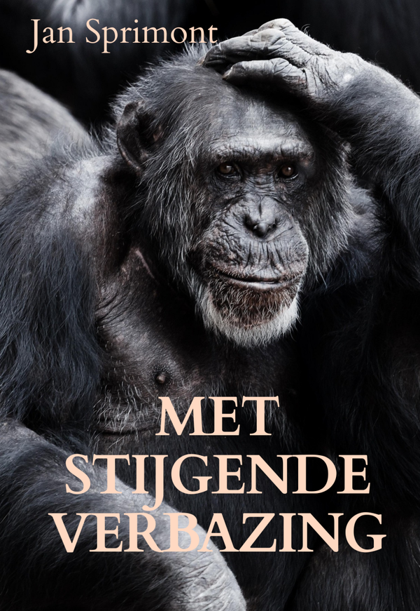 MET STIJGENDE VERBAZING