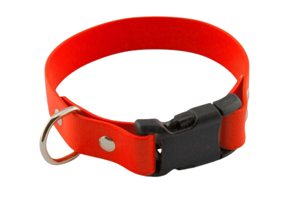 BioThane® Halsband 25 mm mit PVC-Steckschnalle