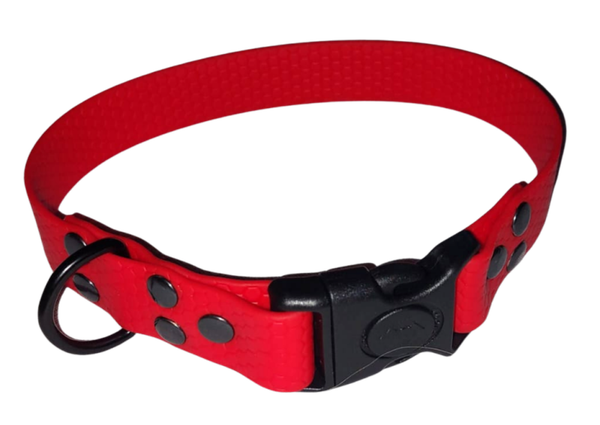 HEXA Halsband 20 mm mit Kunststoff-Steckschnalle