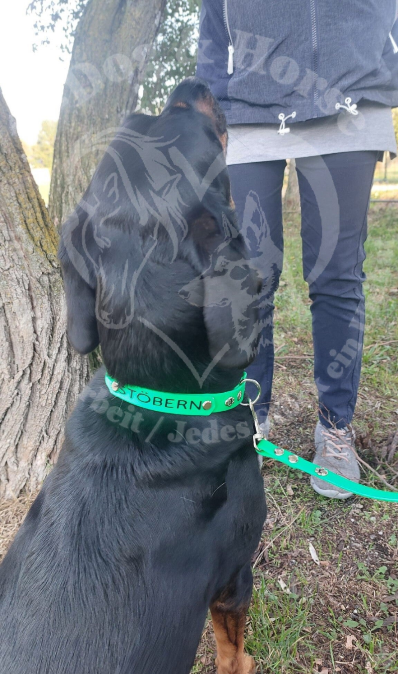 VereinsSet vom SVÖ OG16