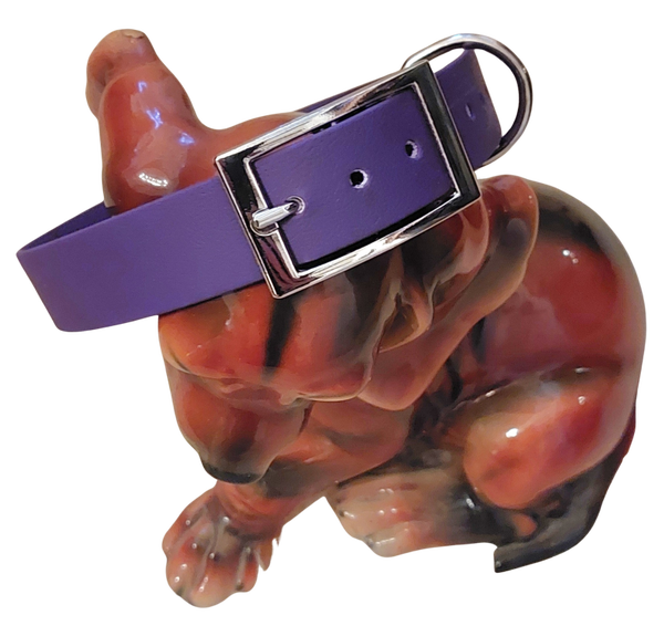 BioThane® Halsband 25 mm mit Dornschnalle