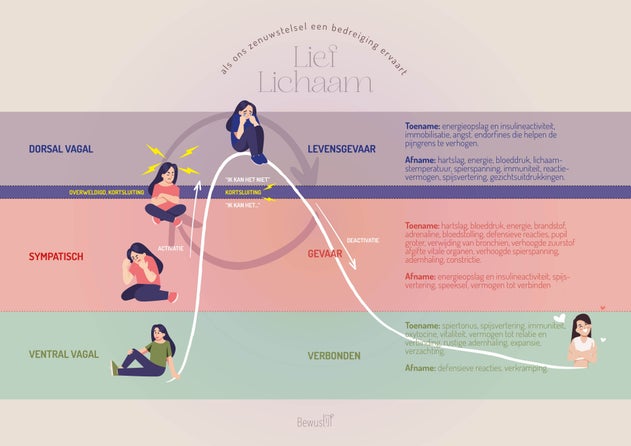 Polyvagaal theorie / Blog | Bewustlijf