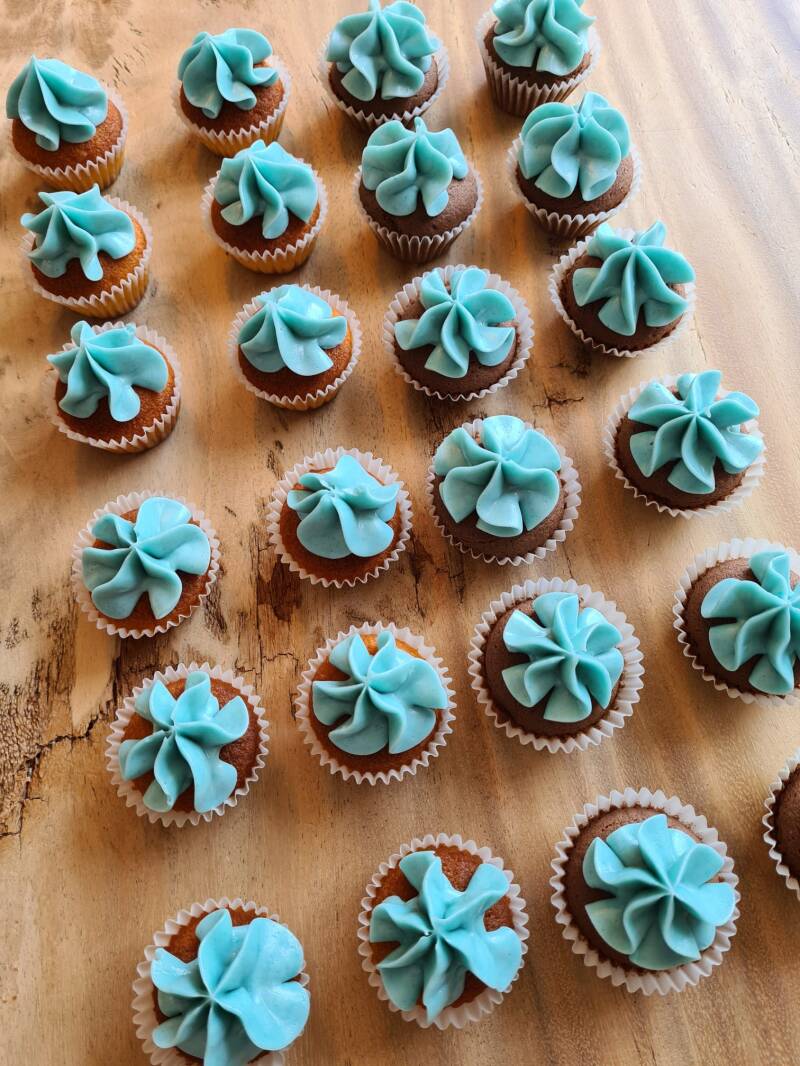 minicupcakesblauw-1.jpeg