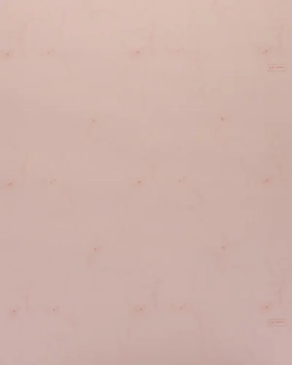 Cadeaupapier feather