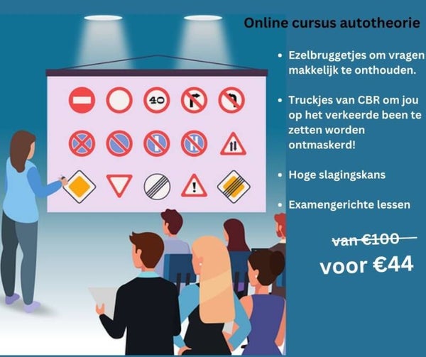Online Cursus autotherorie + coaching