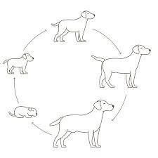 Sa date de naissance