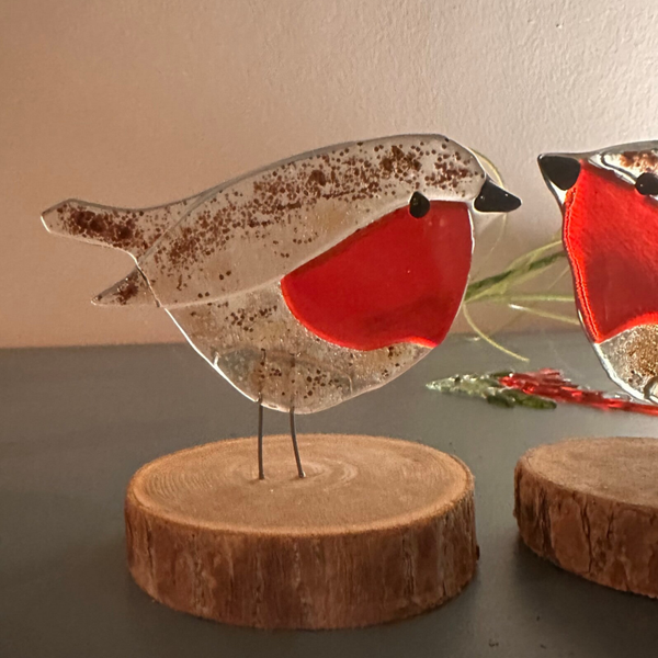 Roodborstje cherry red