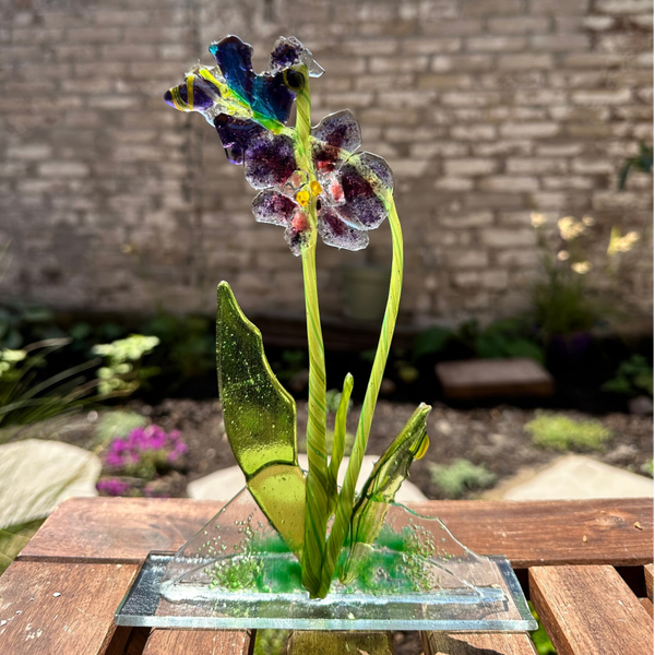 orchidee