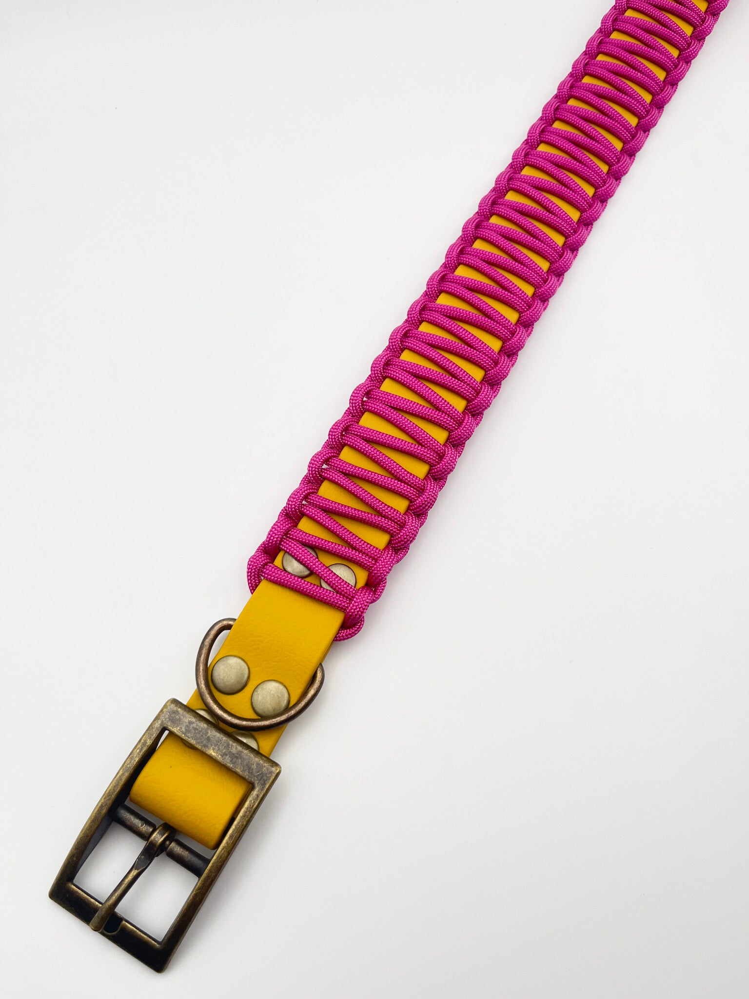 Cobra halsband 25mm omvang 37-43cm