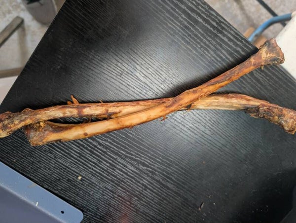 Ostrich Bones