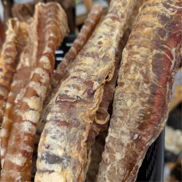 Beef Trachea