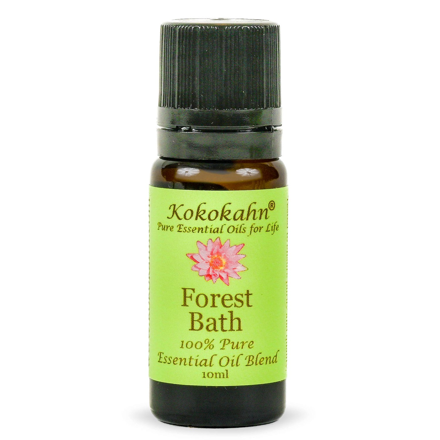Forest bath