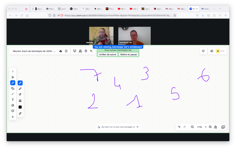 Exemple de constellation par le tracé systémique, à l'aveugle.