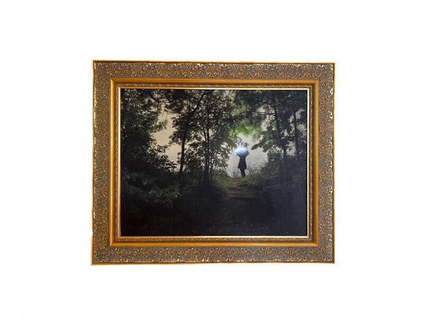ART PHOTOS