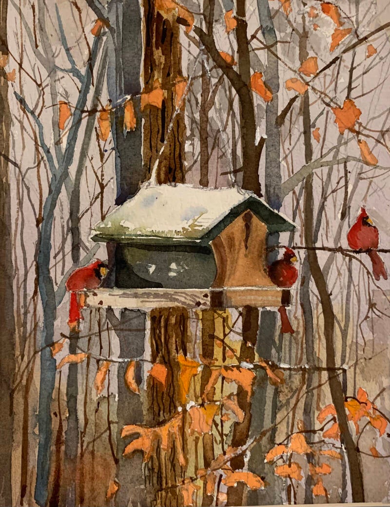 hallorancardinalsbirdhouse.jpeg