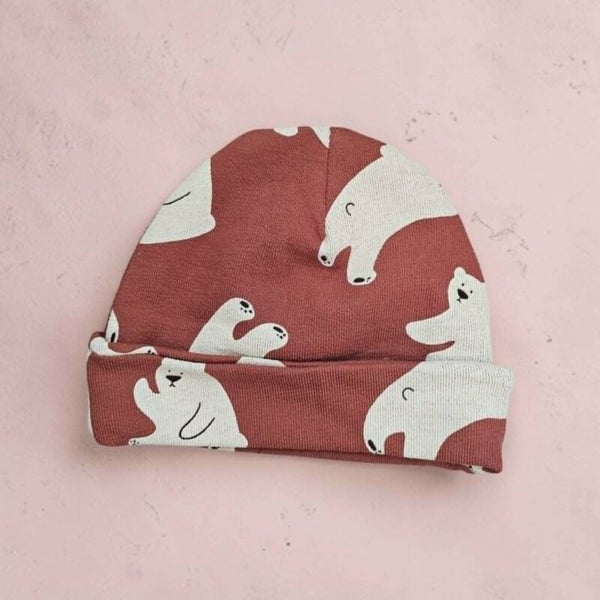 Ensemble Ours polaire