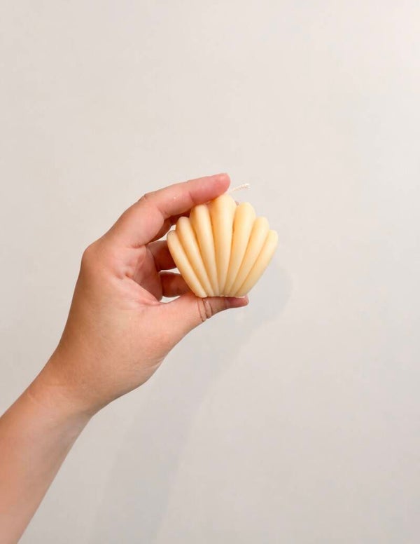 Waaier Schelpje