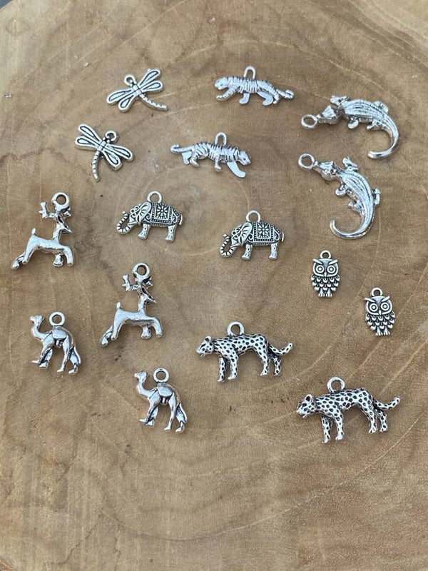 Animal planet pakket zilver 