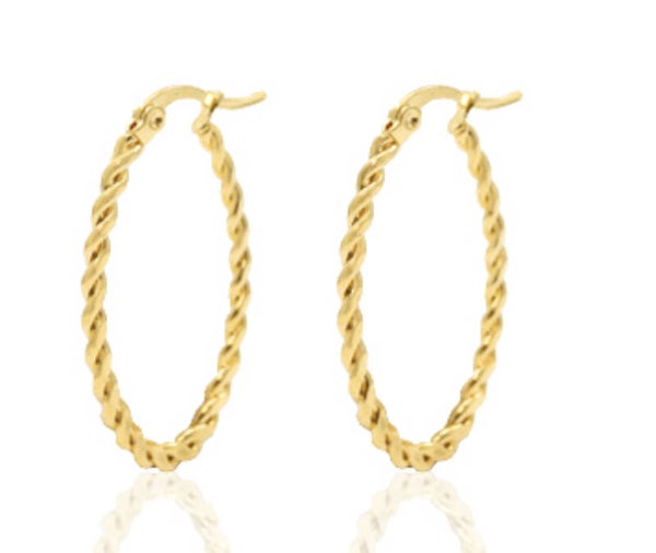 Stainless steel creolen oval twist Goud