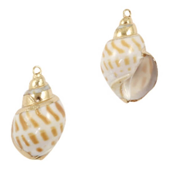 Schelp hanger special wulk white brown - Gold