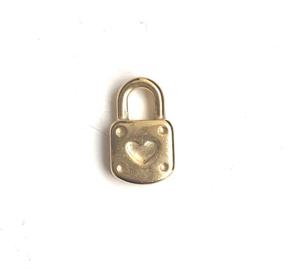 Stainless steel ( rvs) Lock 3d Gold