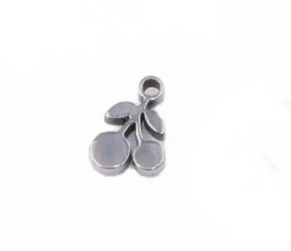 Stainless steel bedel cherry zilver