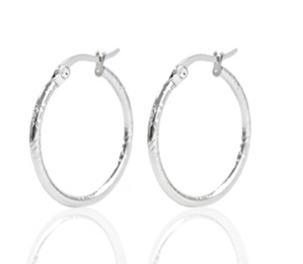Stainless steel creolen 25mm zilver