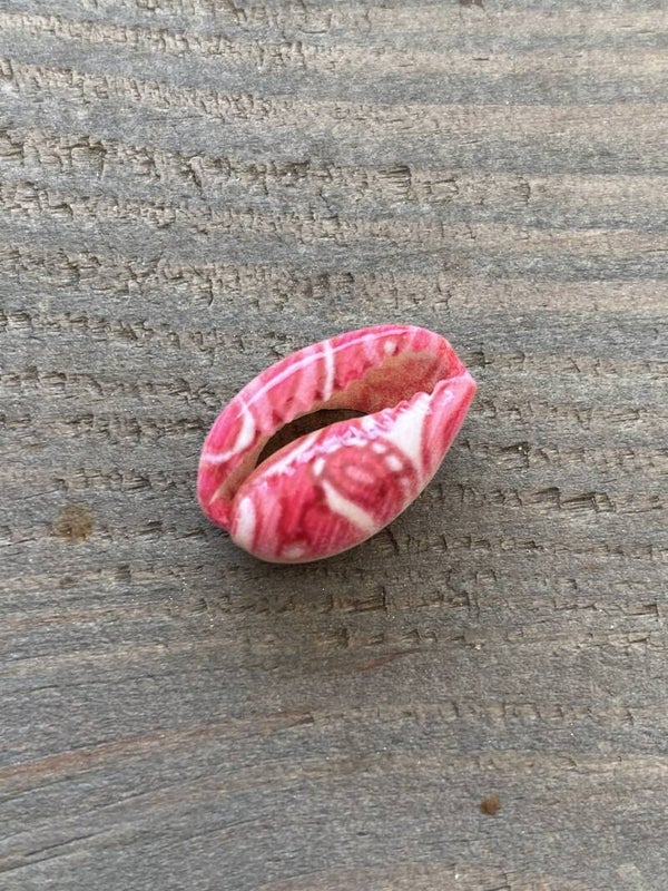 Kauri schelp pink - white