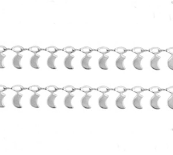 Stainless steel jasseron rvs Moon Silver