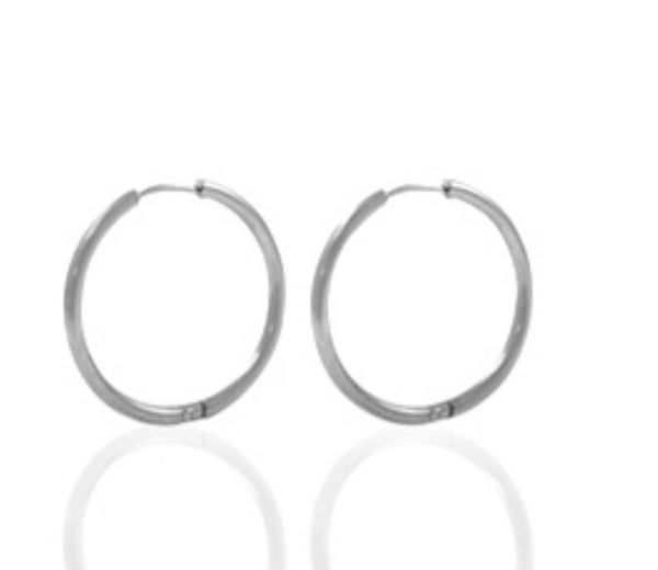 Stainless steel oorringen 14mm Zilver