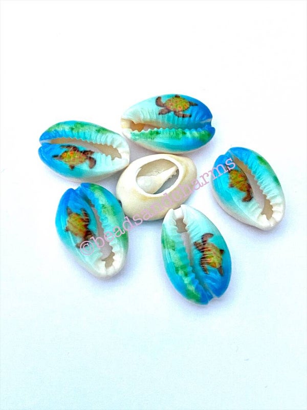 Kauri shell Special Sea turtle 