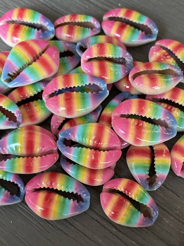 Kauri schelp rainbow 