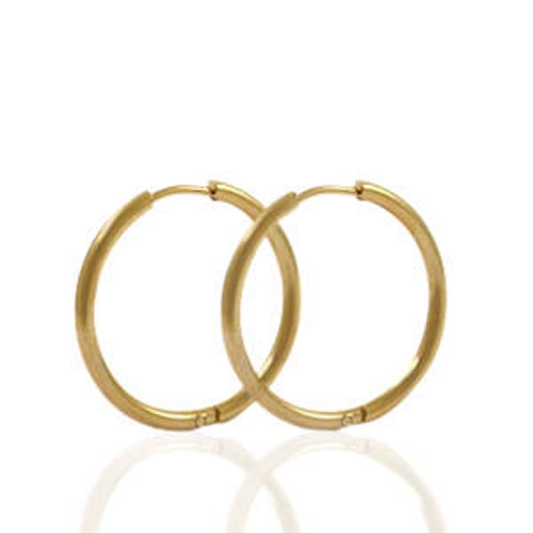Oorbellen Stainless steel 22mm goud