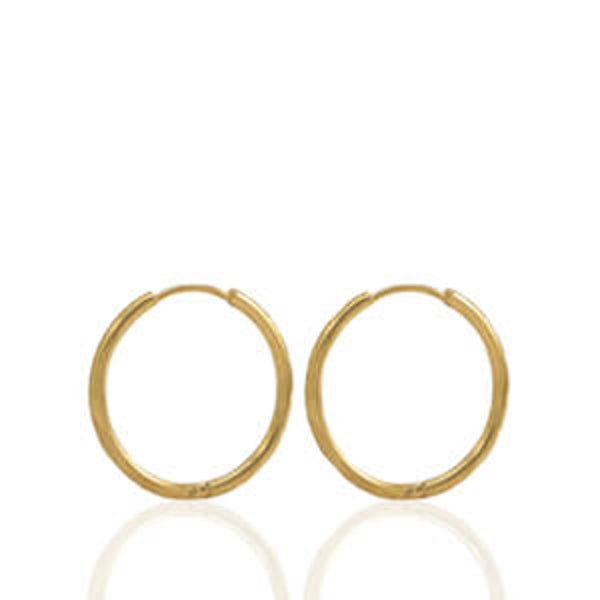 Oorbellen Stainless steel 11mm goud