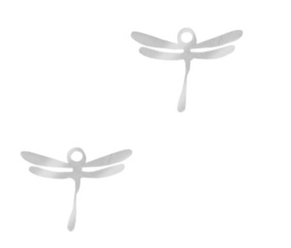 Stainless steel bedel libelle zilver