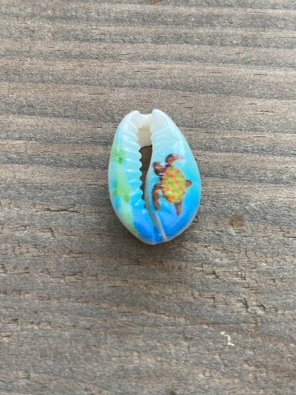 Kauri schelp turtle