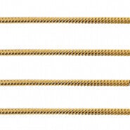 Stainless steel  (RVS) Jasseron Snake  1.6mm Goud.