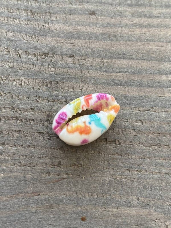 Kauri schelp seahorse multicolor