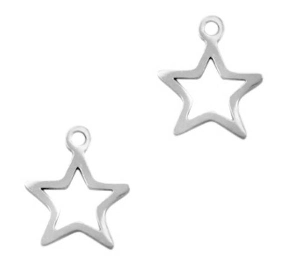 Stainless steel ster rvs zilver