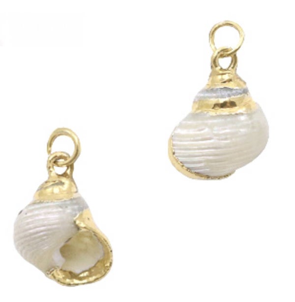 Schelp hanger wulk special gold cream