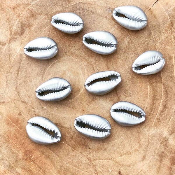 Kauri schelp zilver. Mat