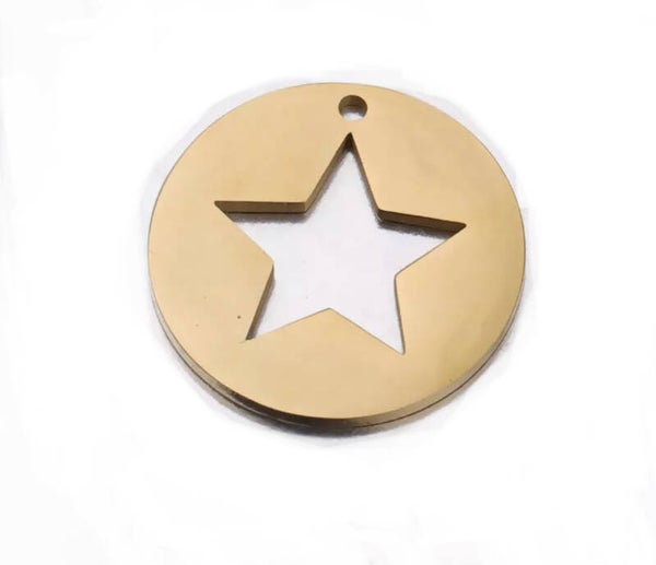 Stainless steel bedel / coin ster Goud 23mm