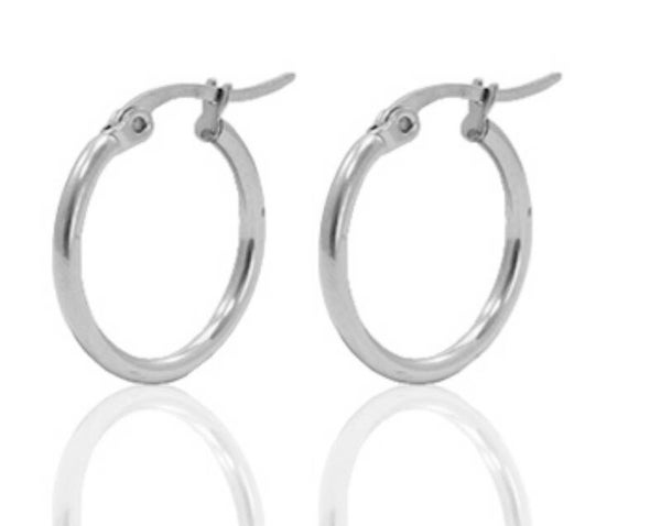 Stainless steel creolen 20 mm zilver